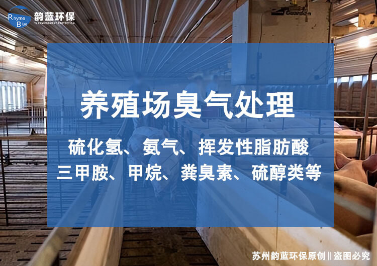 豬舍除臭設(shè)備，解決豬舍臭味的有效方法